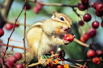 delicious! / ***