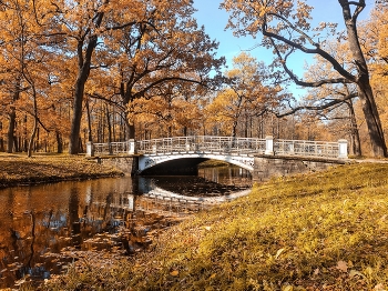 Im Herbst Park / ***