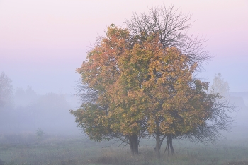 October Morning / ***