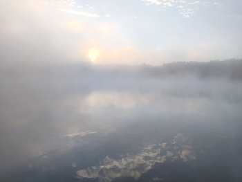 fog on the river / ***