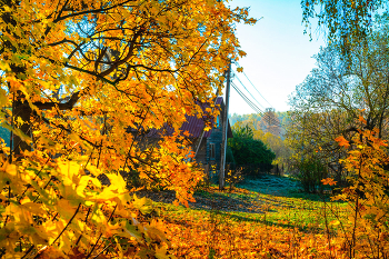 Autumn sketches / ***