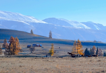 Altai / ***
