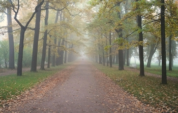 Autumn Marathon / ***