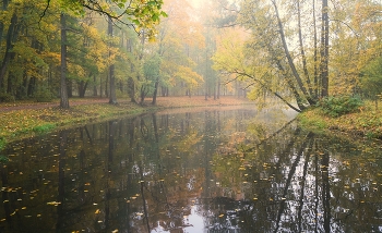 November / ***