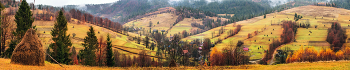 Walking on hills / ***