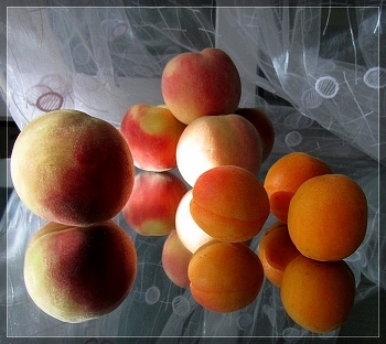 Äpfel / ***