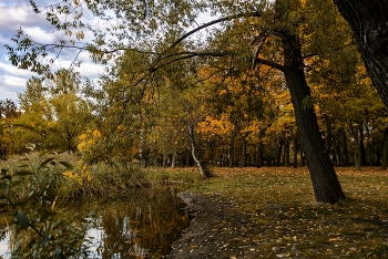 Herbst / ***