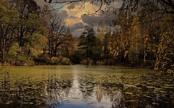 Autumn palette. / ***