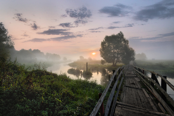 Bridge / ***