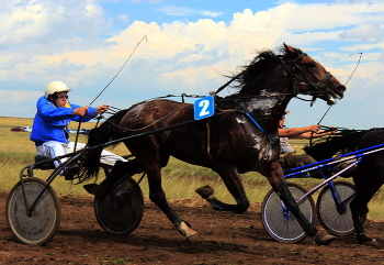 races / ***