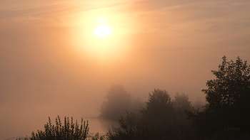 Im Nebel. / ***