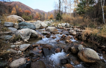 Mountain Fluss / ***