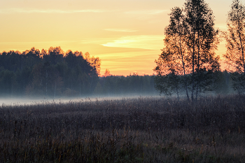 Cold morning. / ***