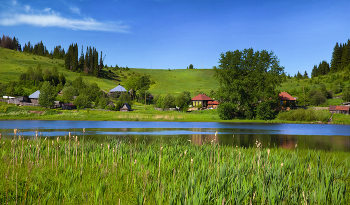 Country Landscape / ***