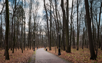 In the fall the park ... / ***