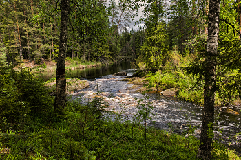 Taiga Fluss / ***