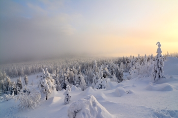 Wintermorgen. / ***