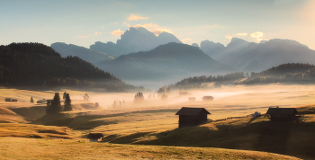 Morning in the mountains / ***