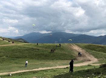 Auf der Erde und im Himmel / ***