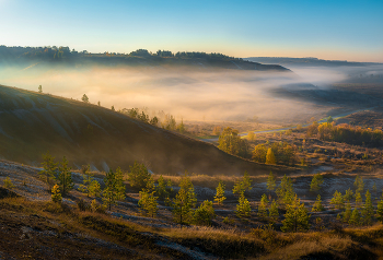 Clear morning / ***