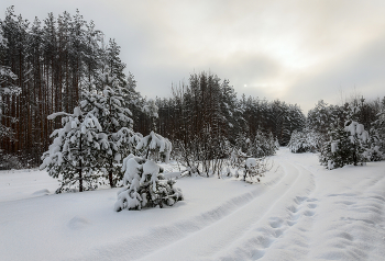 Winter road / ***