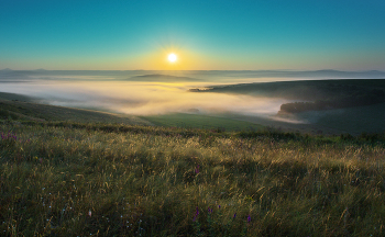 Morning / ***