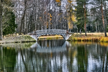 November ... / ***