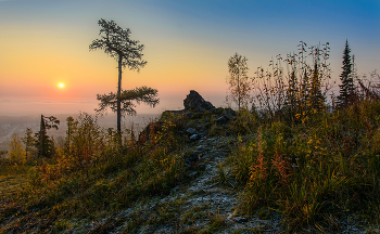 Die ersten Frost / ***