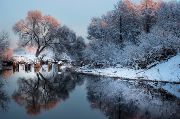 &nbsp; / ---------------