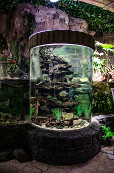 &nbsp; / Nikon d 7000 Nikon 35 mm