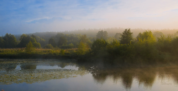 Summer morning. / ***