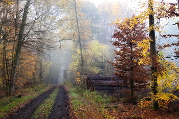 Herbstfarbe / ***