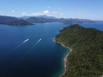  / New Zealand, Picton