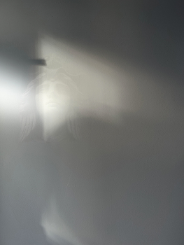 Nebelwelt / im Zwielicht