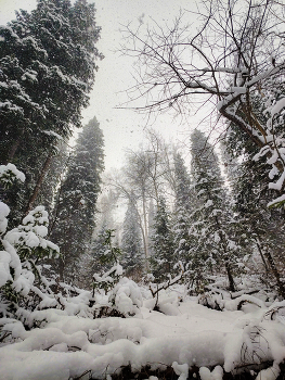 winter has come / ***