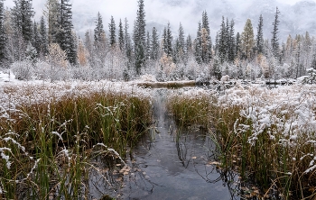 Snow Fall / ***