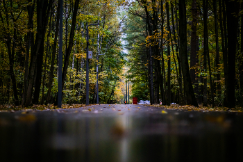  / ***