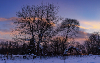 Evening / ***