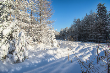 Winter road / ***