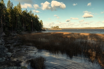 Autumn in Mon Repos / ***