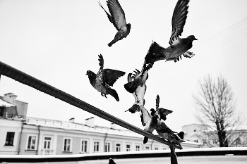 trajectory / ***
