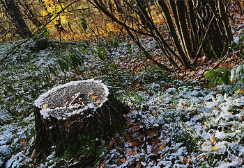 Der erste Schnee / ***