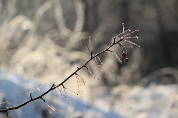Letzter Tag des Herbstes / ***