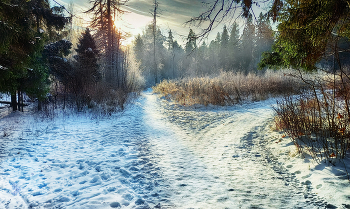 hate winter / ***