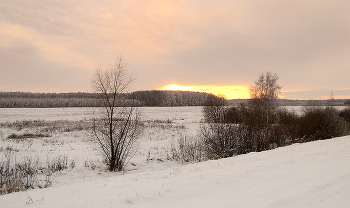 Winter / ***