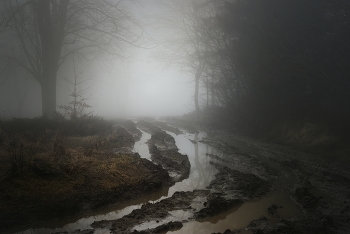 Roads / ***