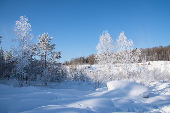 frozen / ***