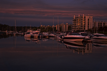 greeting the dawn / ***