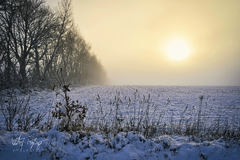 Magischer Winter / Feld im Winter mit Schnee und Nebel