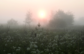 Remembering summer. / ***